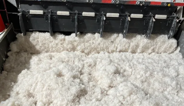 技术服务中理解偏差的适用条件与选择依据